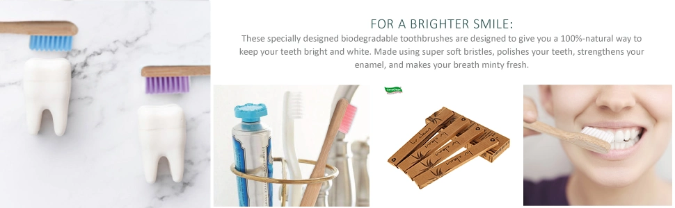 Natural Biodegradable Eco Friendly High Quality Medium Adult Bamboo Toothbrush