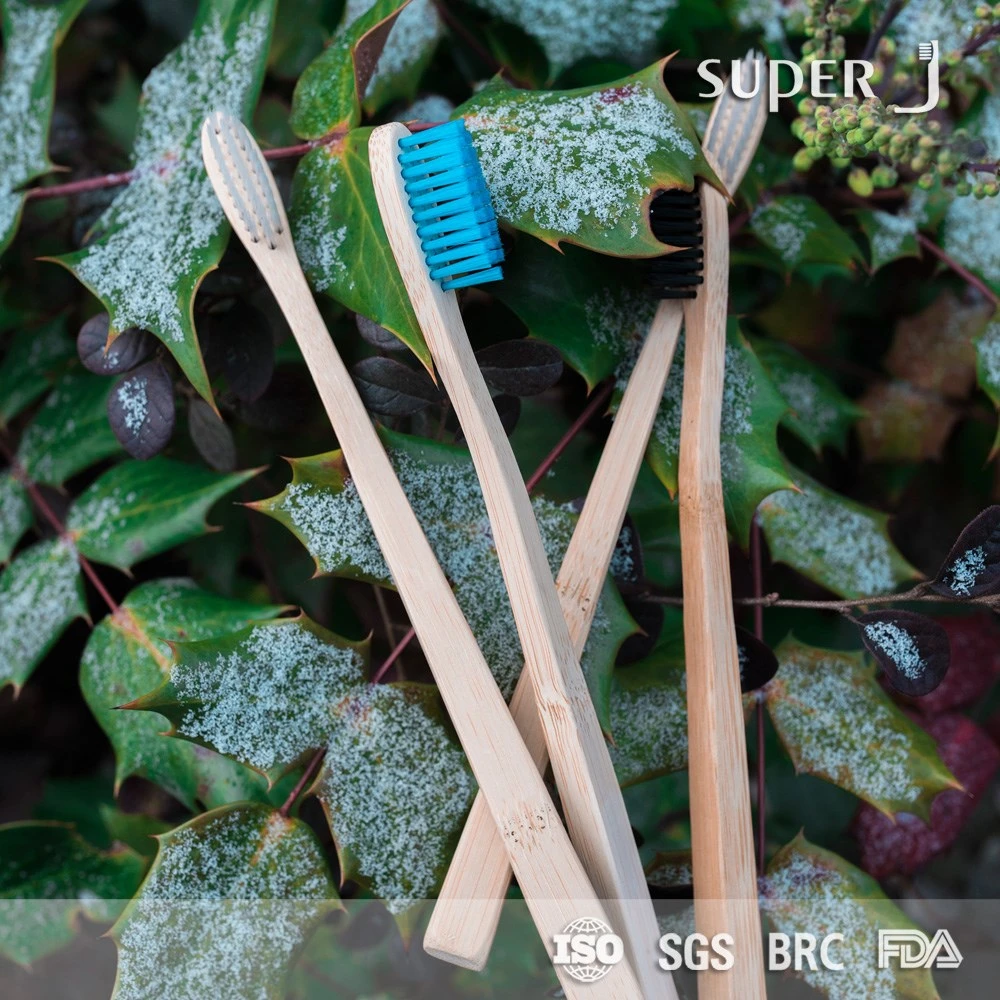 FDA BSCI Fsc Medium Bristles Eco-Friendly Biodegradable Flat Bamboo Toothbrush