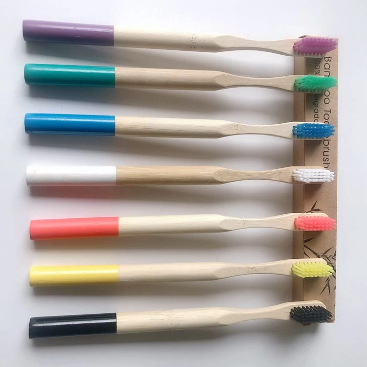 Biodegradable Eco-Friendly Bamboo Toothbrush