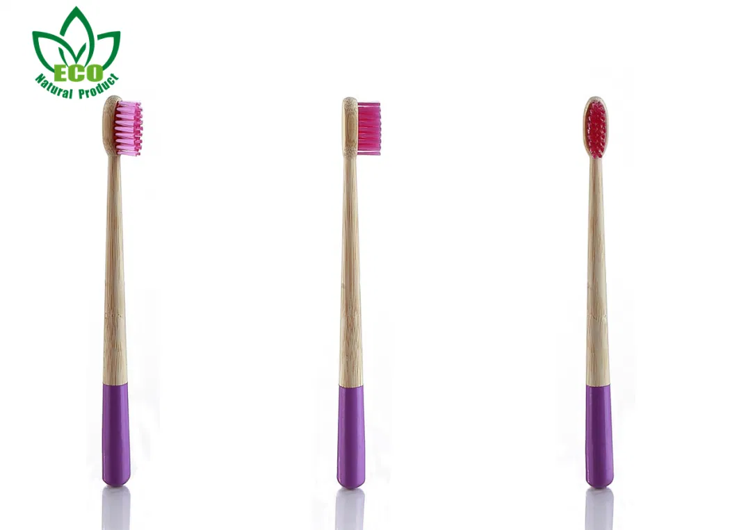 China Hot Sale Eco Bamboo Toothbrush Factory