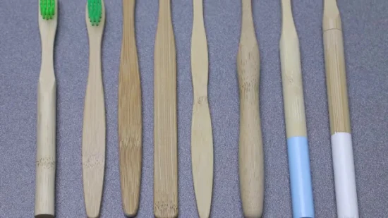 Free Sample OEM 100% Biodegradable Wholesale Organic Eco Bamboo Toothbrush