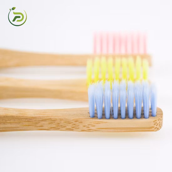 FDA BSCI Fsc Medium Bristles Eco