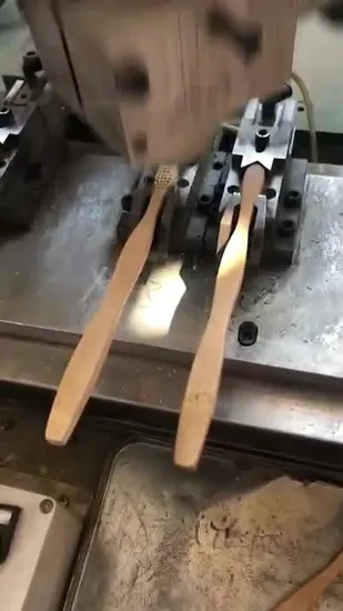 Biodegradable Eco