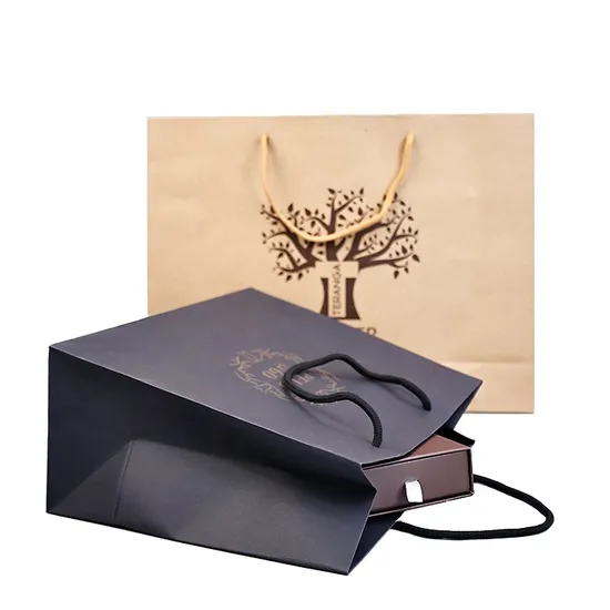 Men′s Clothing Tie Bag Multi